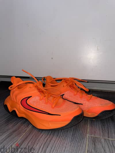Giannis Immortality 4 Basketball Shoes