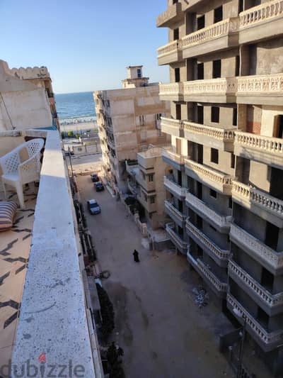 الإسكندرية العجمي شاطئ النخيل