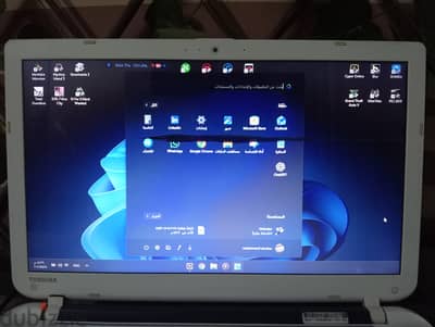 TOSHIBA Satellite C55-B1066