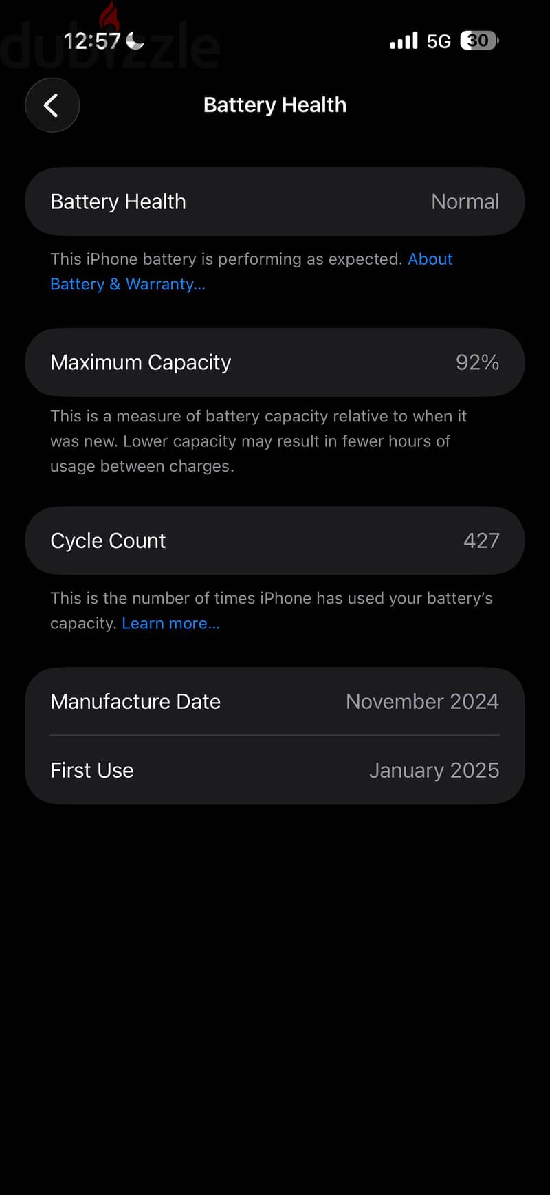 iPhone 16 Pro Max 2
