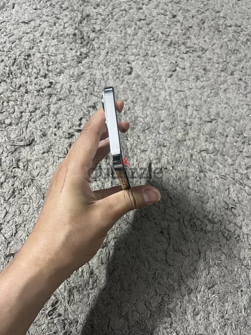 13 pro max 1