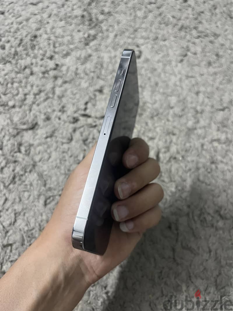 13 pro max 2