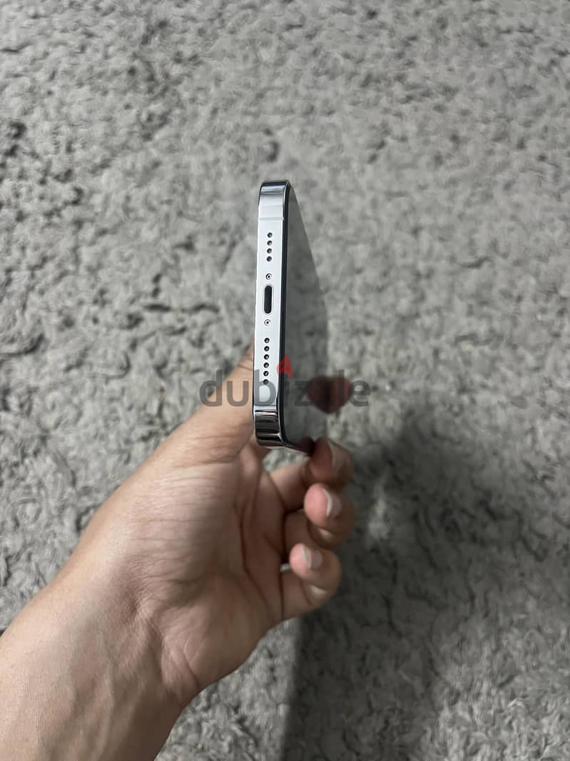 13 pro max 3