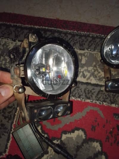 فوانيس شبورة