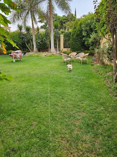 Standalone in fountain park