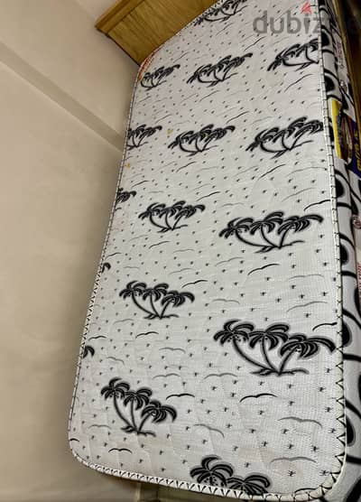 القاهره -البساتين