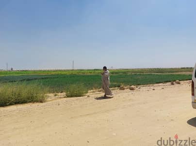 أرض زراعية ٣ فدان للبيع- مشروع (افرولاند) فدان العيلة، ميدوم بني سويف