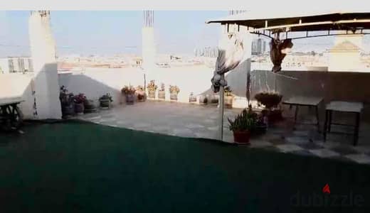 Rooftop studio for rent furnished
