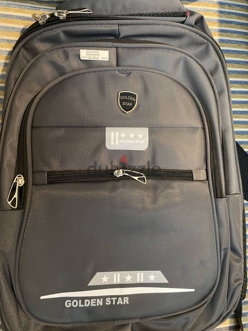 laptop Bag 1