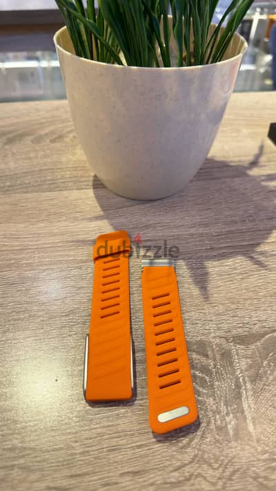whoop strap 5.0