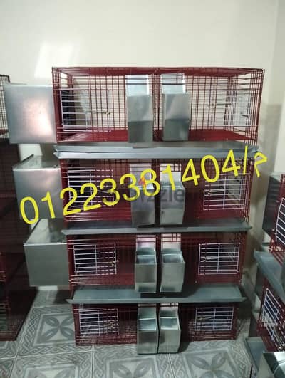 بطاريات 8 عين راسى
