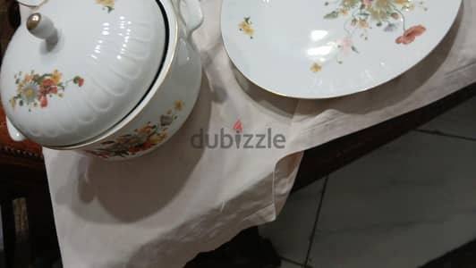 ١٩٦ جمال عبد الناصر سيدى بشر