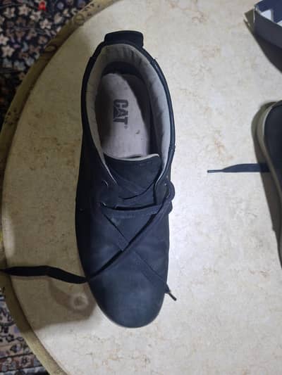 cat shoes