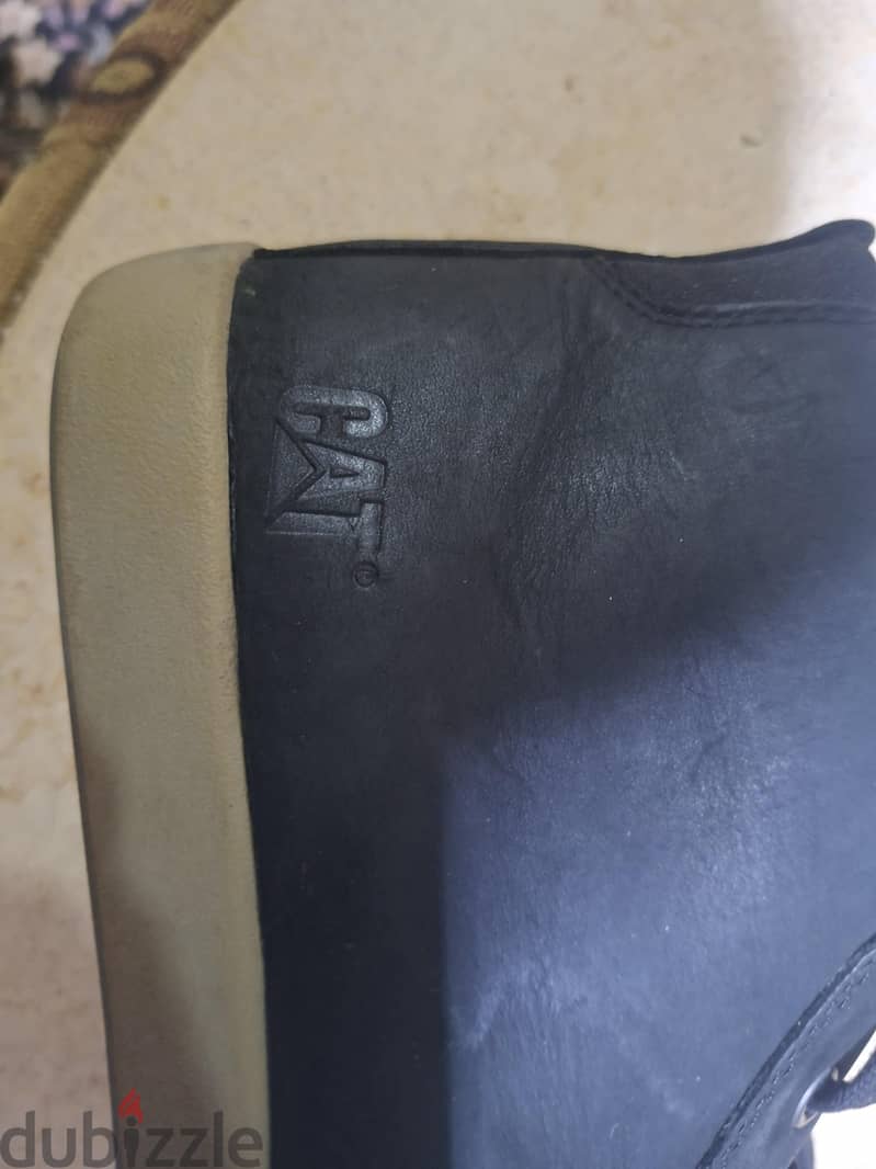 cat shoes 1