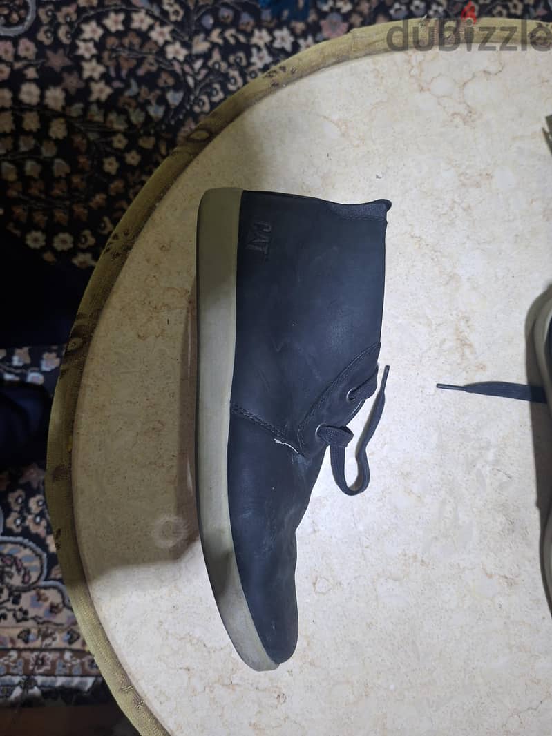 cat shoes 2