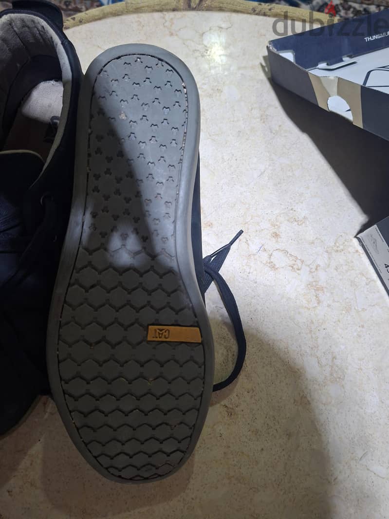 cat shoes 3