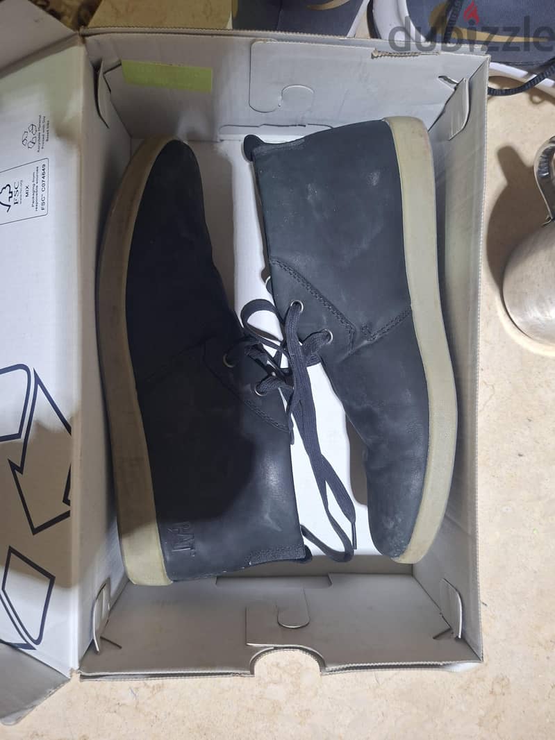 cat shoes 4