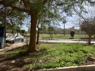 البنفسج على حديقه (المالك مباشر)