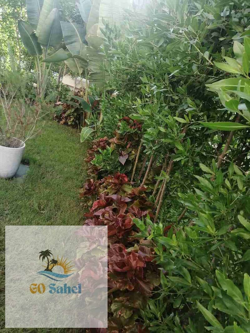 فيلا بـ٥ غرف نوم في مراسي، صورة ١٠ من ٣٦