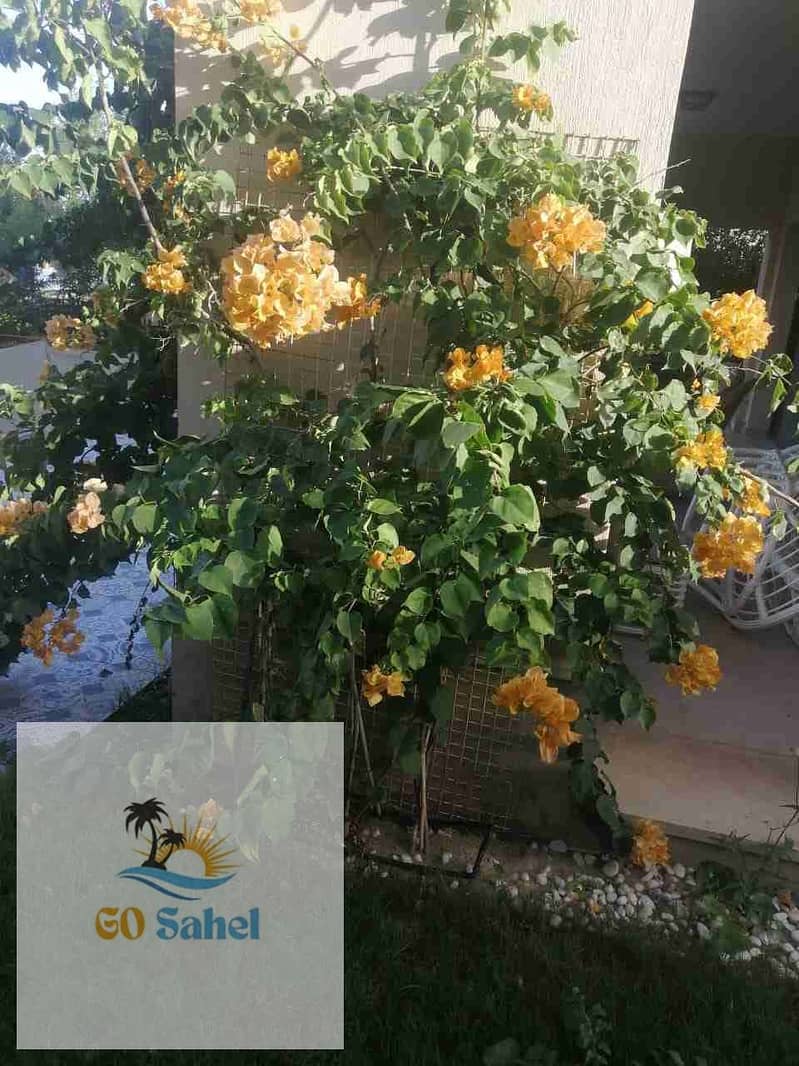 فيلا بـ٥ غرف نوم في مراسي، صورة ٢٢ من ٣٦