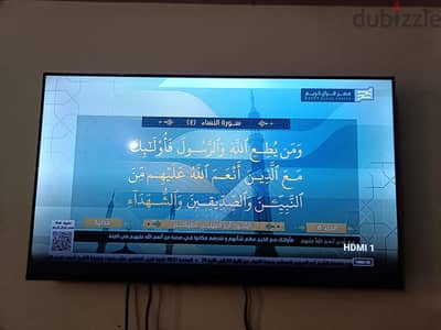 الاسكندريه العجمى الهانوفيل