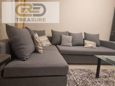 Apartment for rent in south investors