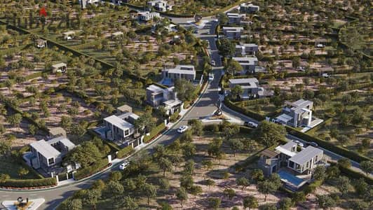 نجا فاللي طريق مصر إسكندرية الصحراوي