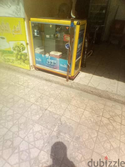 الاسكندريه