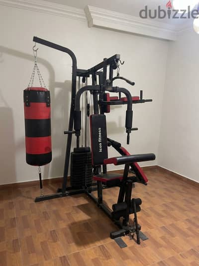 Icon Fitness Multi-Gym Station with Punching Bag + Doorway Pull-Up Bar