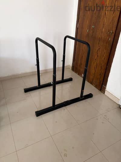 Adjustable and Compact Design Dip Bars TS 100