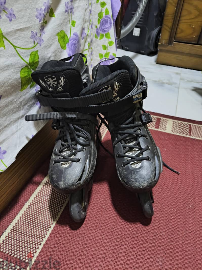 flying eagle fbs 41/42 2