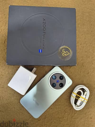 Vivo X200 Pro mini