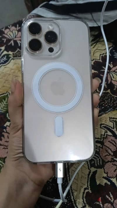 بلقاس المنصوره