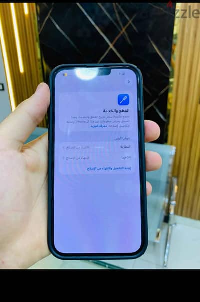 الجيزه