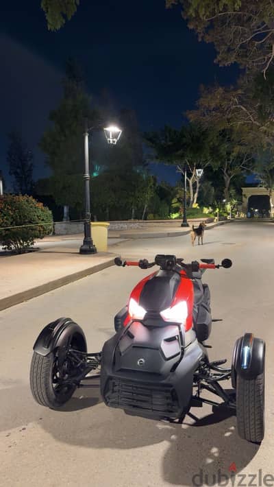 Canam ryker