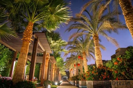 Luxurious | Fully furnished | Park View compound