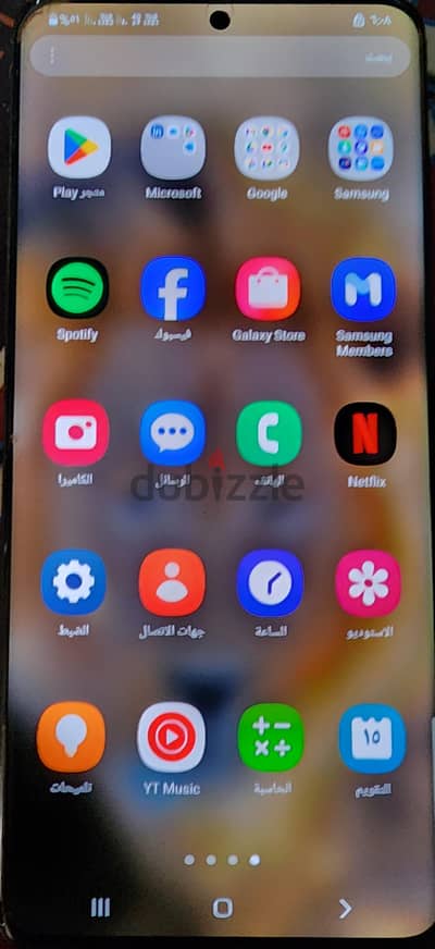 ميامي