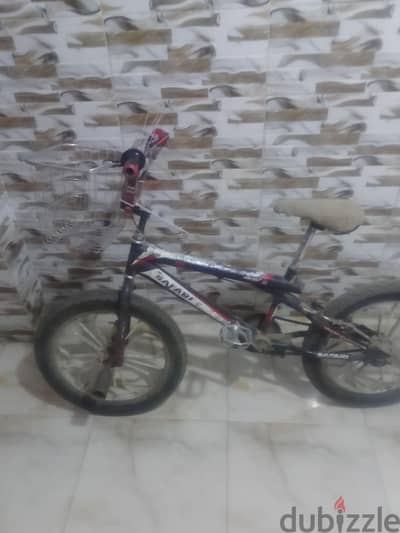 الجيزة الهرم مشعل