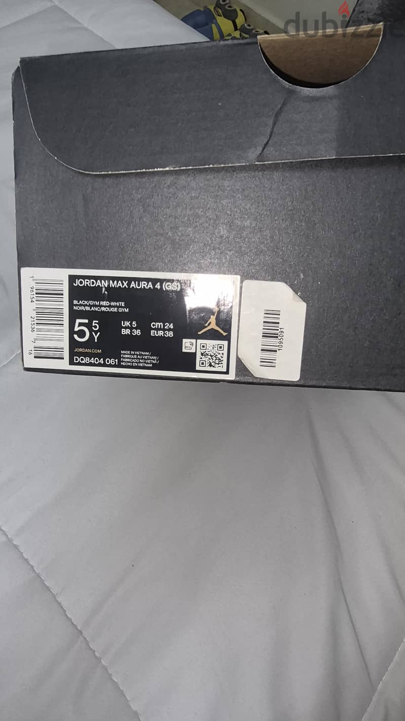 Jordan flights 5