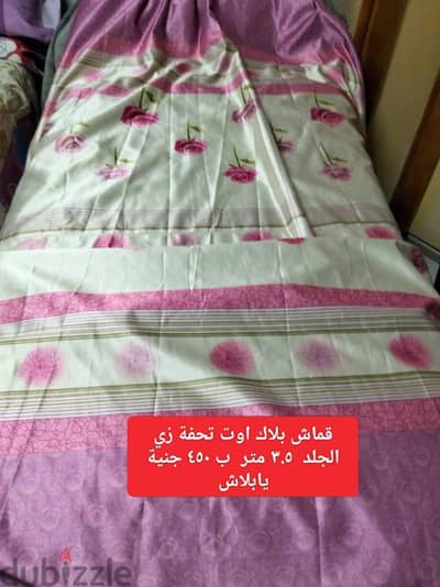 حلمية الزيتون