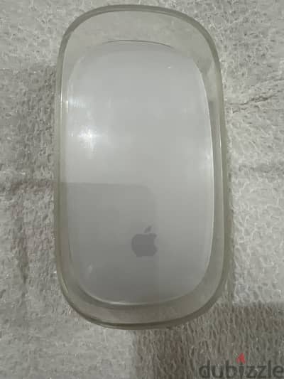 Mouse Magic  1