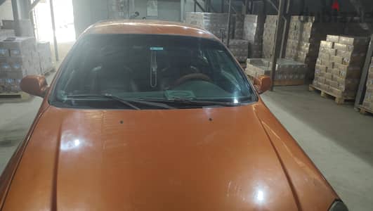 بنها القليوبيه