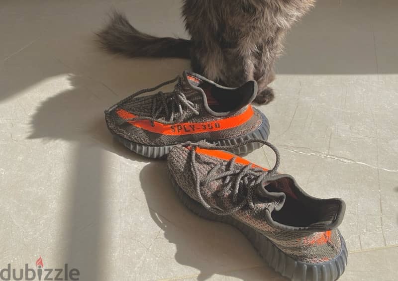 Adidas yeezy boost 350 v2 reflective 1
