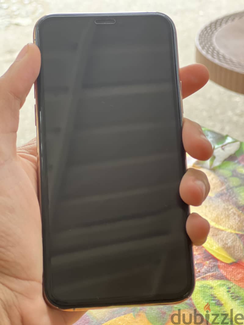 11 pro 2