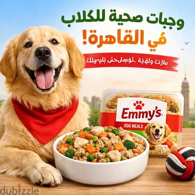 وجبات صحية للكلاب فى القاهرة