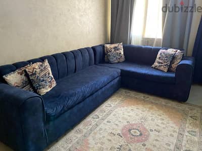 اشجار سيتي اول اكتوبر