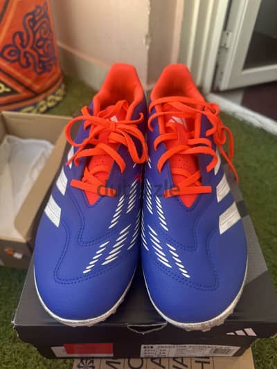 Adidas Predator acc + Nike vapor 15 club ic