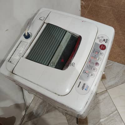 العروبه طالبيه هرم