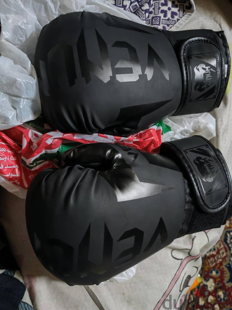 boxing gloves 2