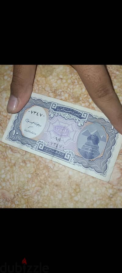 الجيزه
